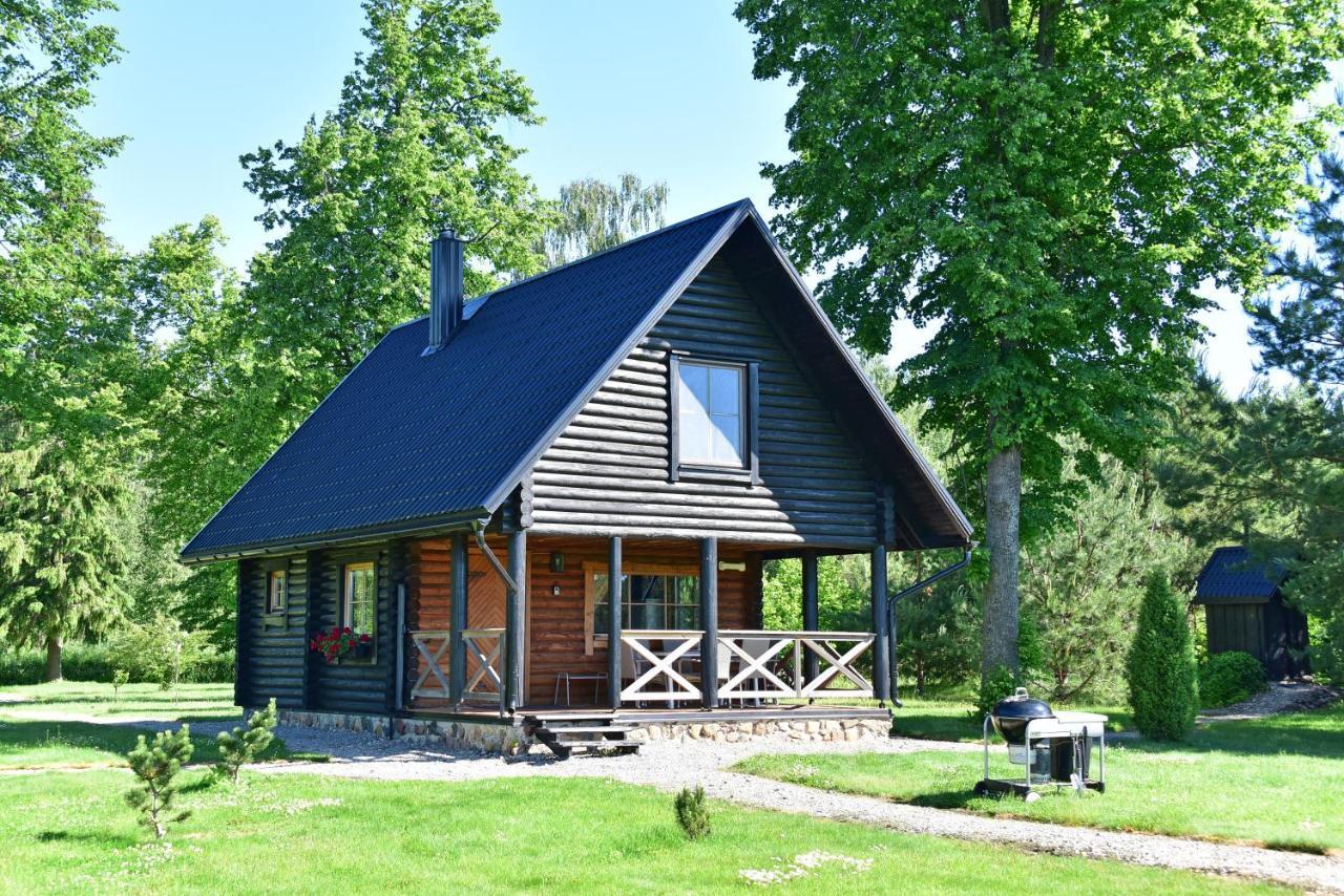 Vila Loreta - Namelis Su Pirtimi Dudoryne Экстерьер фото