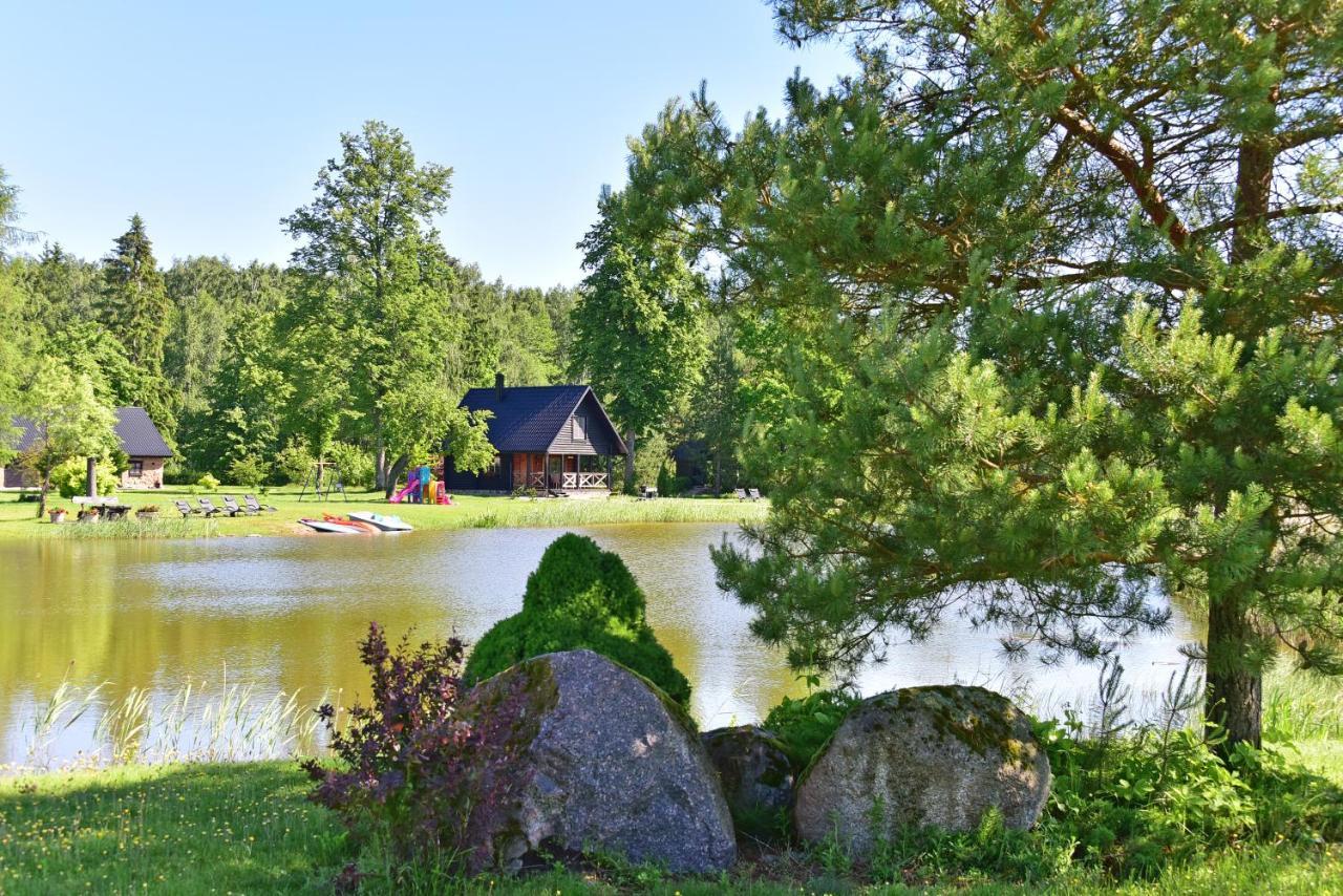 Vila Loreta - Namelis Su Pirtimi Dudoryne Экстерьер фото